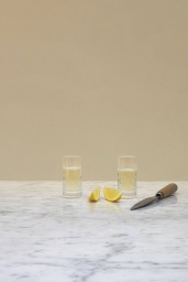 Mixology Shotglas
