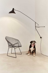 Mantis BS2 Vägglampa Svart
