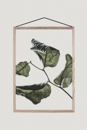 Transparent Ram A3 Ek