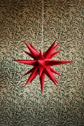 Moravia Star Red 60cm