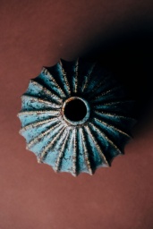 Rustica Vase