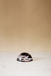 Vegetale Glaieul Dome Paperweight