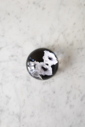 Vegetale Glaieul Dome Paperweight