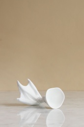 Peking Duck Foot