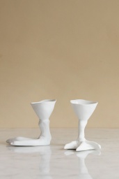 Peking Duck Foot