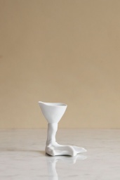 Peking Duck Foot