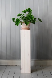 Piedestal Furan 80cm Vitoljad