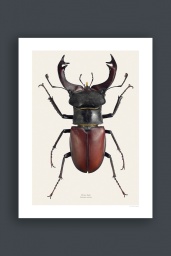 Ekoxe 30x40 cm