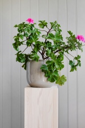 Custa Pot Grey Medium