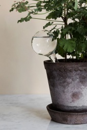 Självbevattnare för krukväxter Small