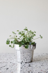Kruka Silver Ø 19