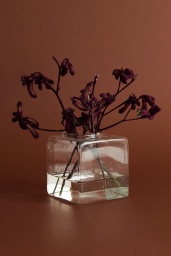 Cube Vase