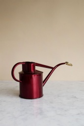 Vattenkanna 1 Liter Claret