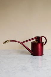 Vattenkanna 1 Liter Claret