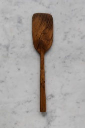 Vietnamese Spatula