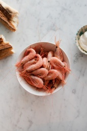 Frukostskål Wonki Ware Vit