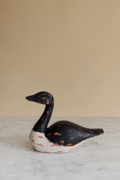 Blue White Duck