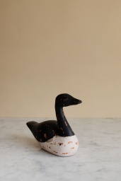 Blue White Duck