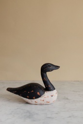 Blue White Duck