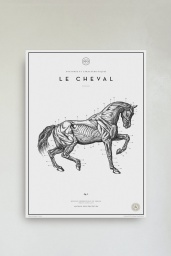 Le Cheval No. 3