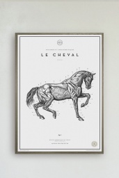 Le Cheval No. 3