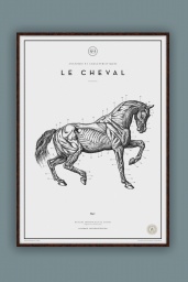 Le Cheval №.3