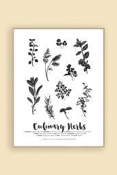 Print Culinary Herbs
