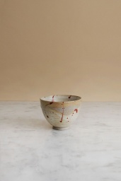 Kyoto Bowl Splatter