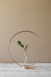Flora Glasinsats