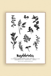 Print Kryddväxter