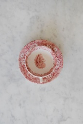 Cranberry Italian Cup & Saucer
