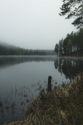 Misty Lake 70x100cm