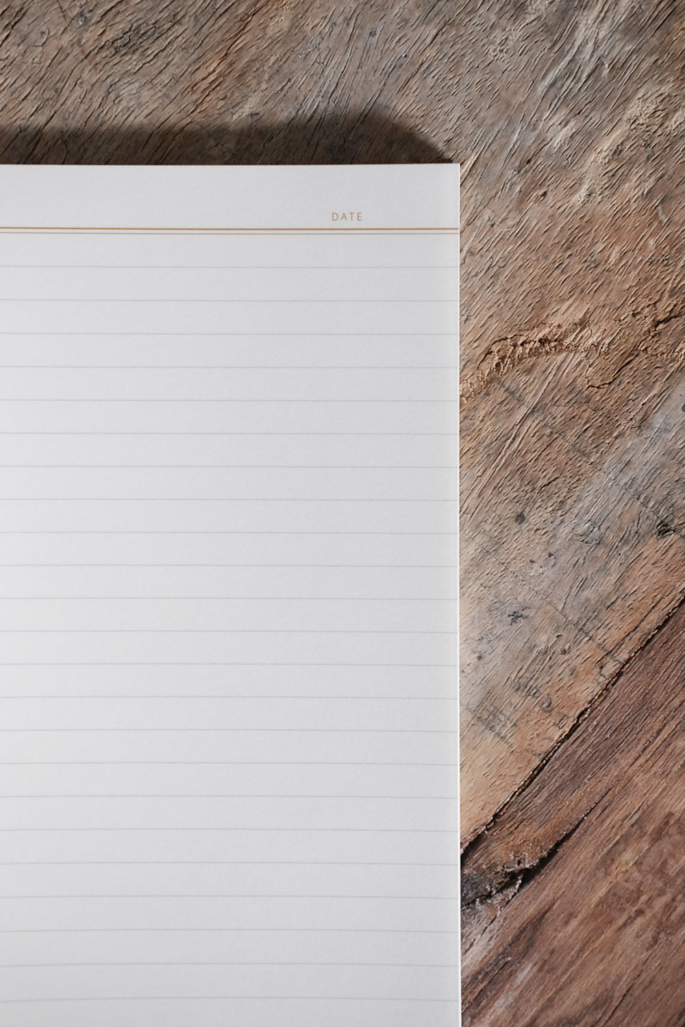Notebook Check Navy