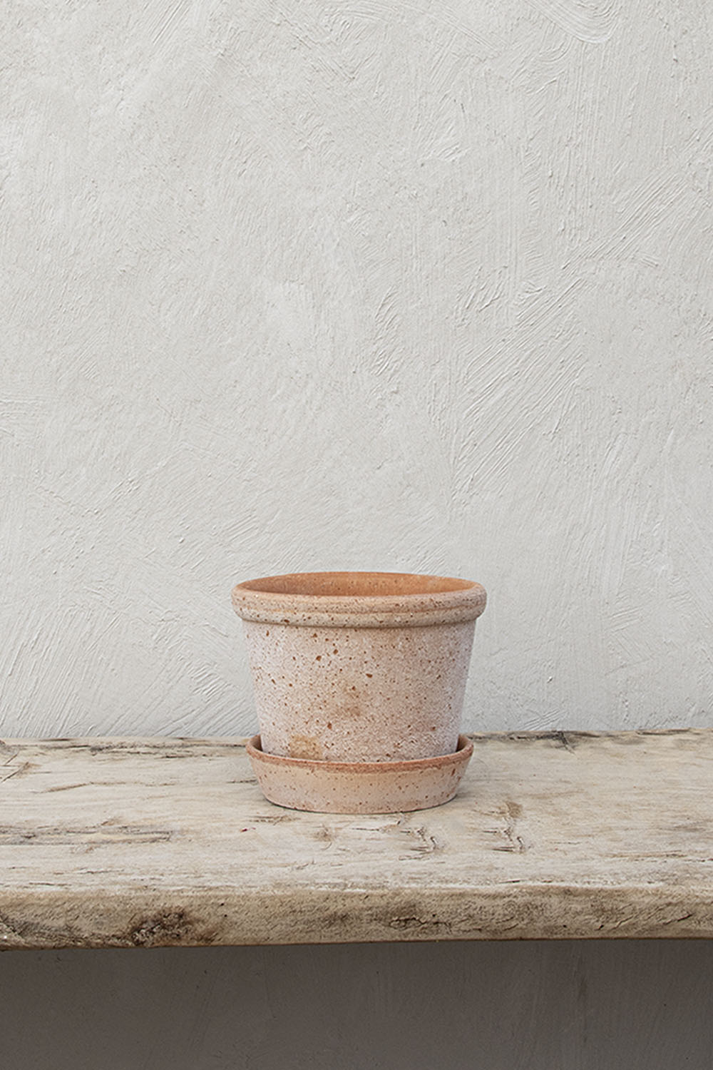 Parade Kruka Rosa 15 cm