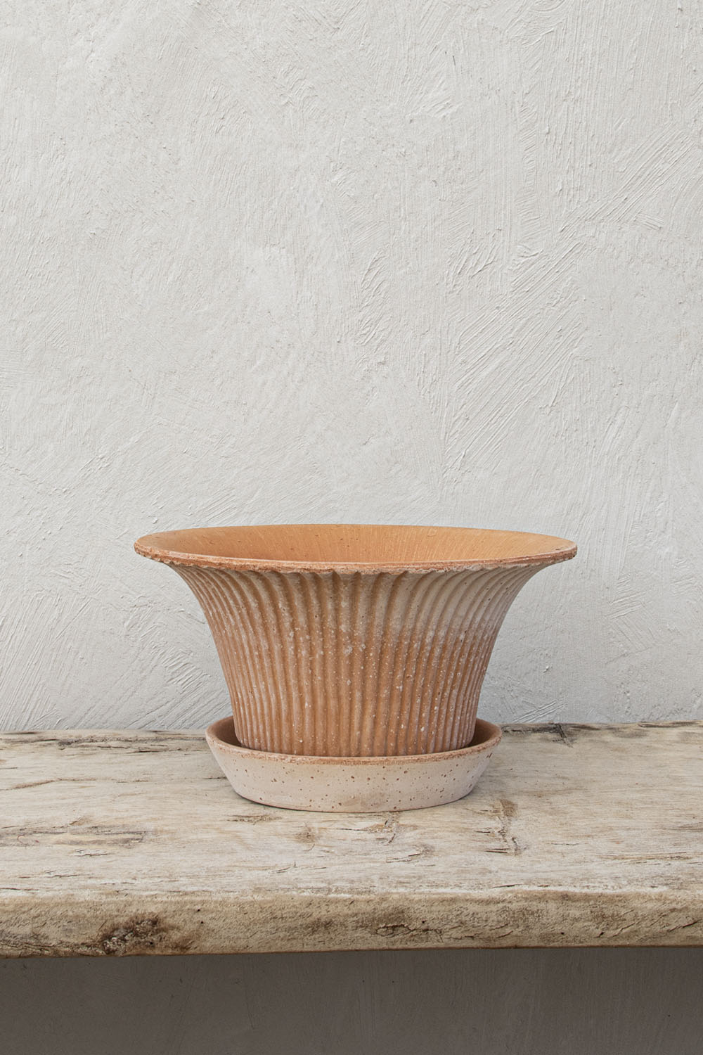 Daisy Kruka Rosa 25cm