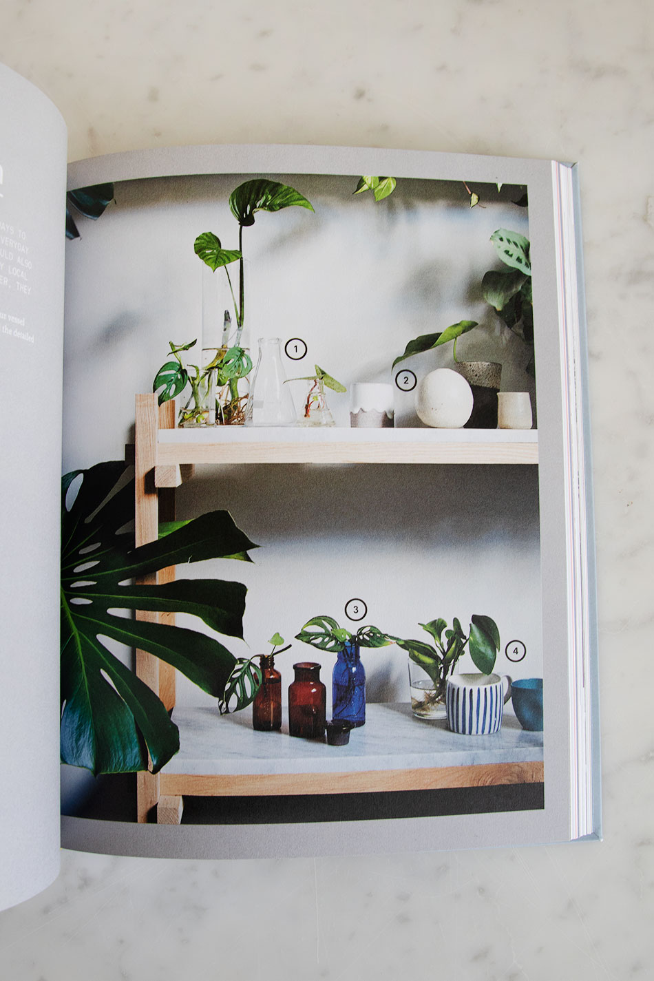 Plant Society