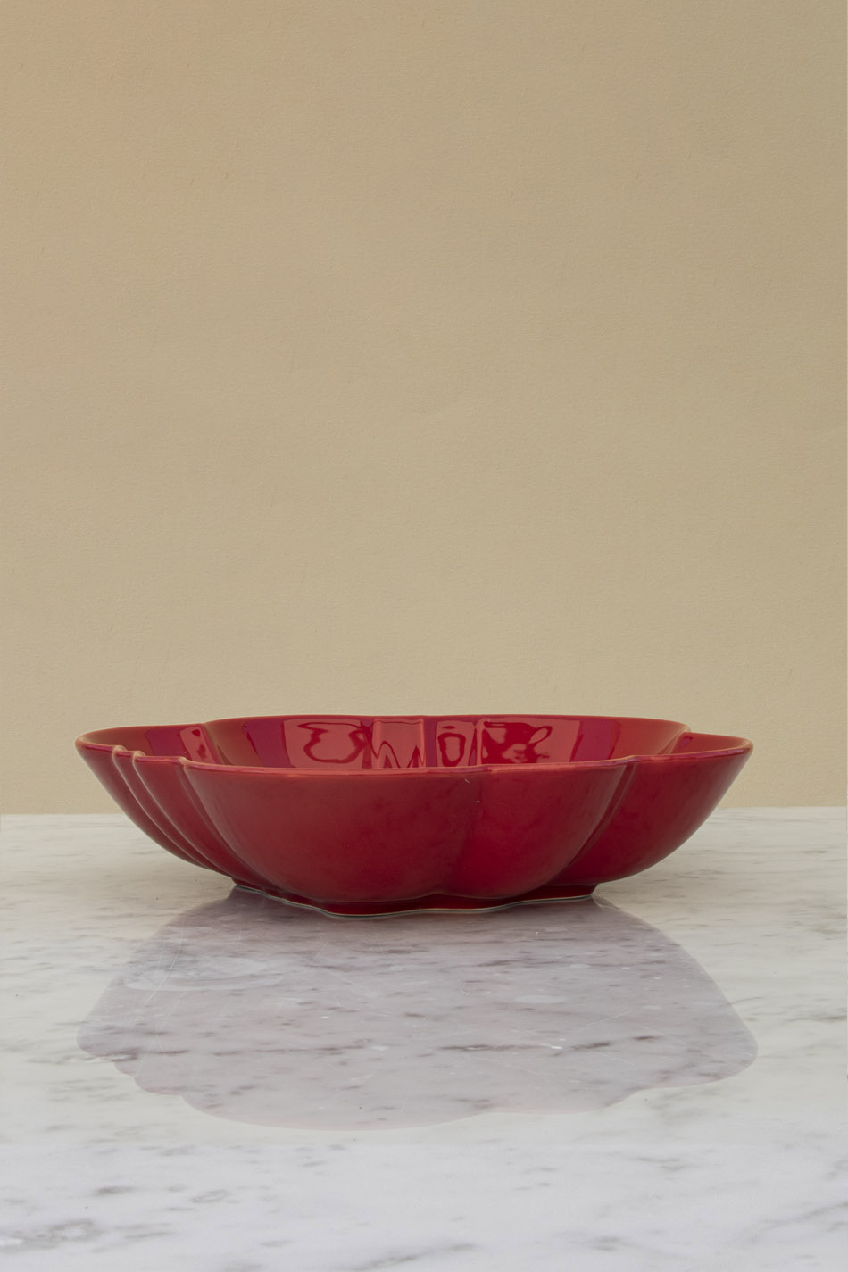 Tomato Pasta Bowl