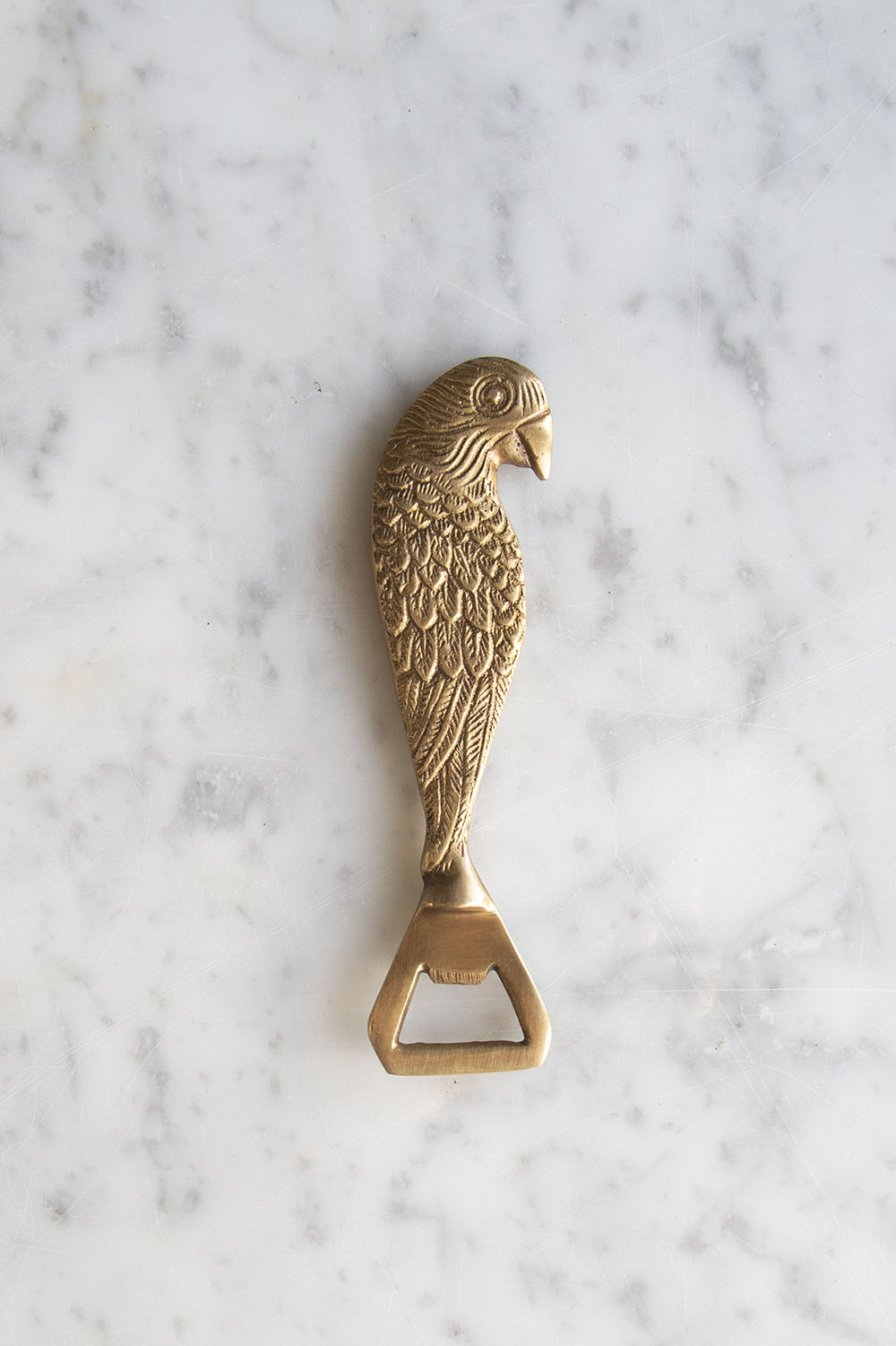 Bottle Opener Golden Parrot