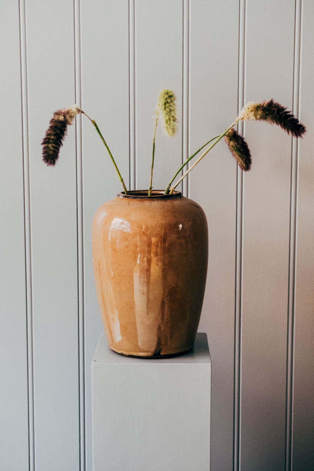 Urna Mustard Curve