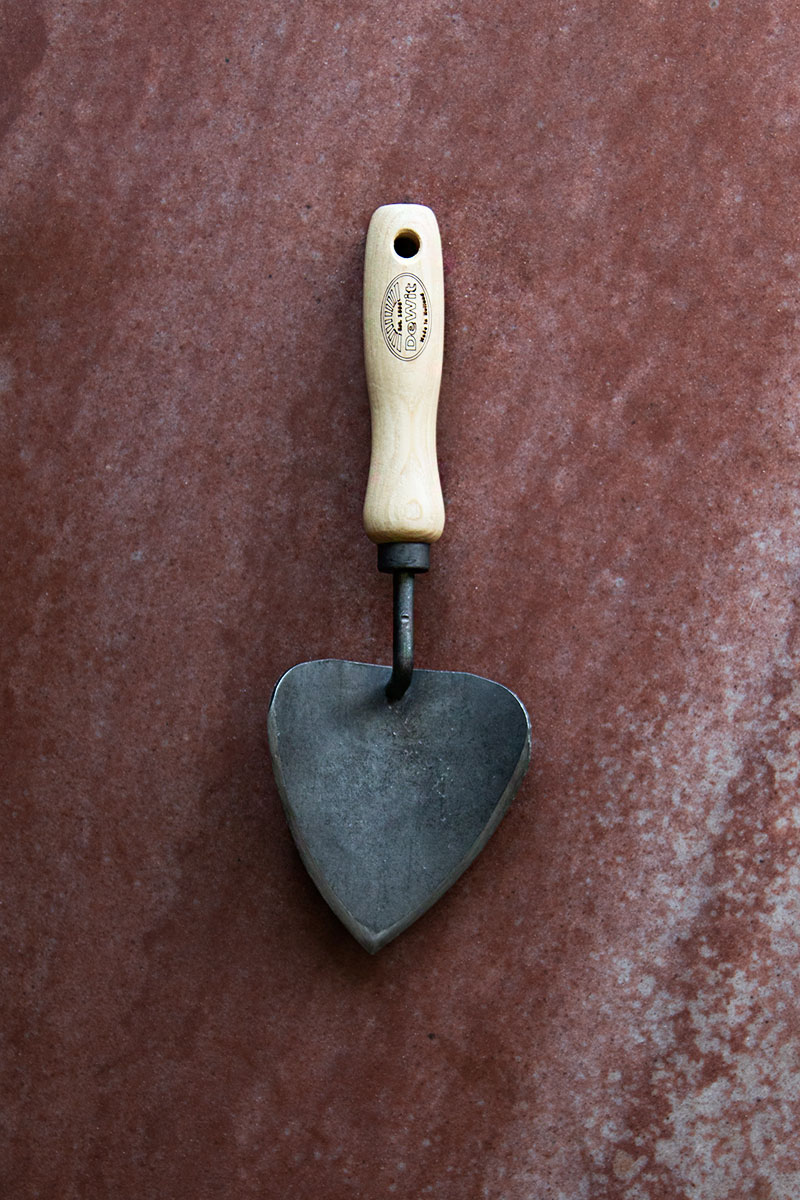 Hjärtspade