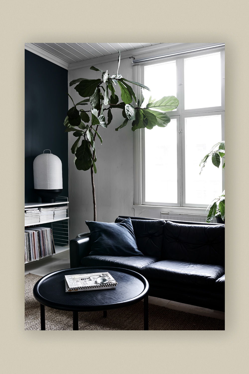 Green Home Book
