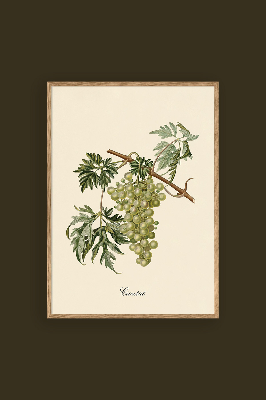 Green Grapes 30x40cm