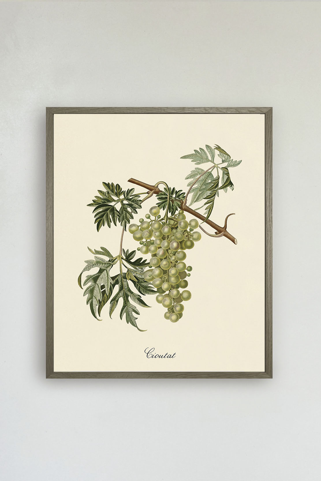 Green Grapes