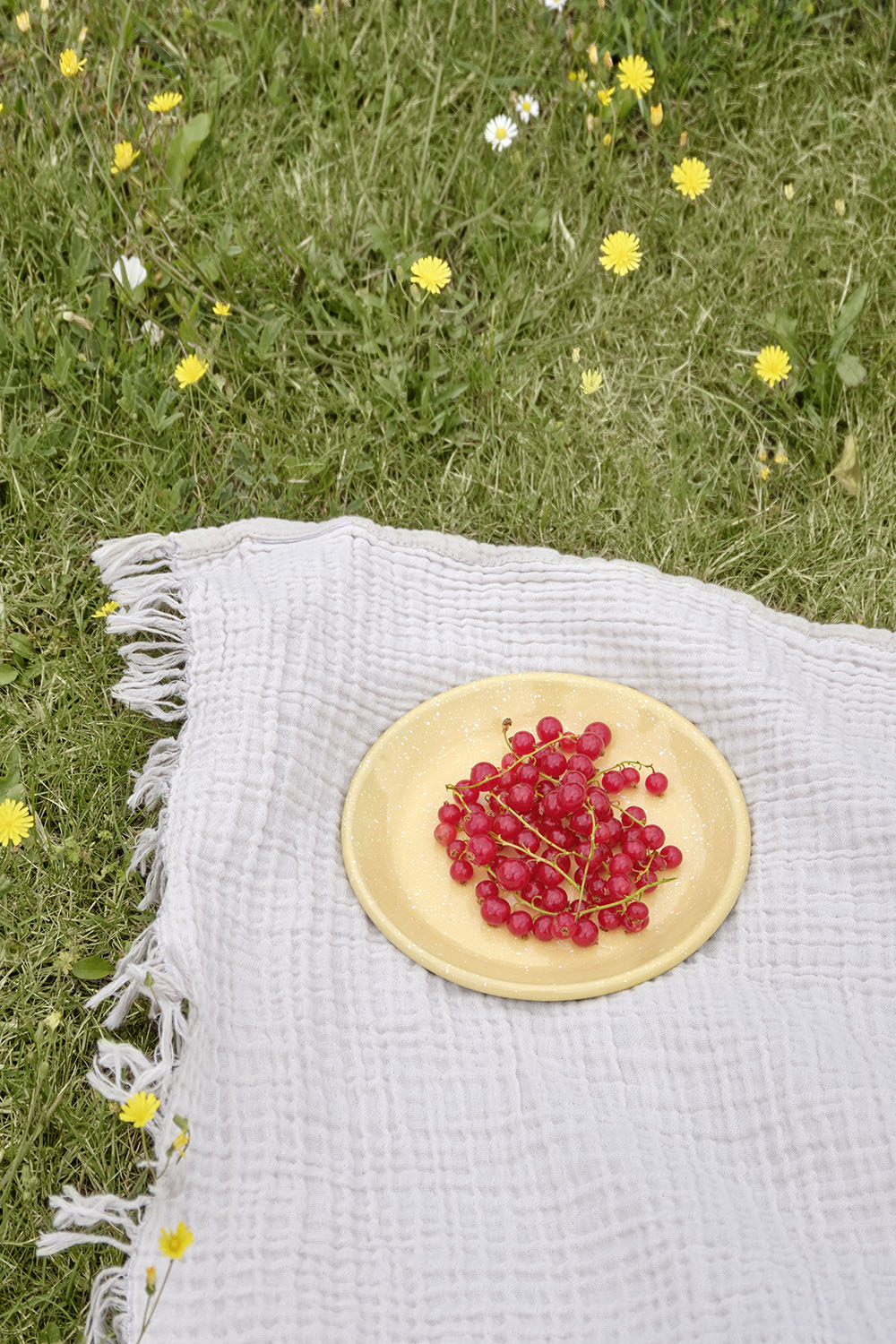 Enamel Dinner Plate Dust Light Yellow