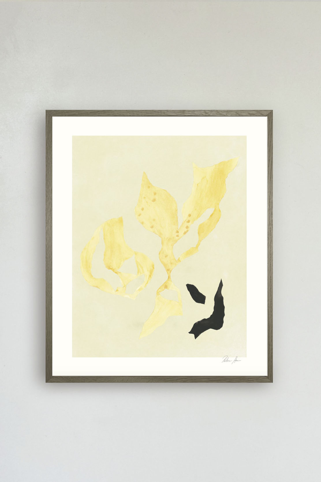 Hein Studio Shadow NO 15