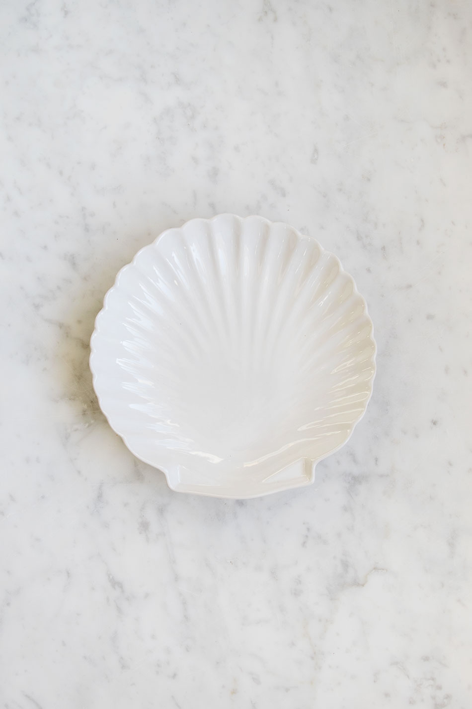 Shell Tray Large