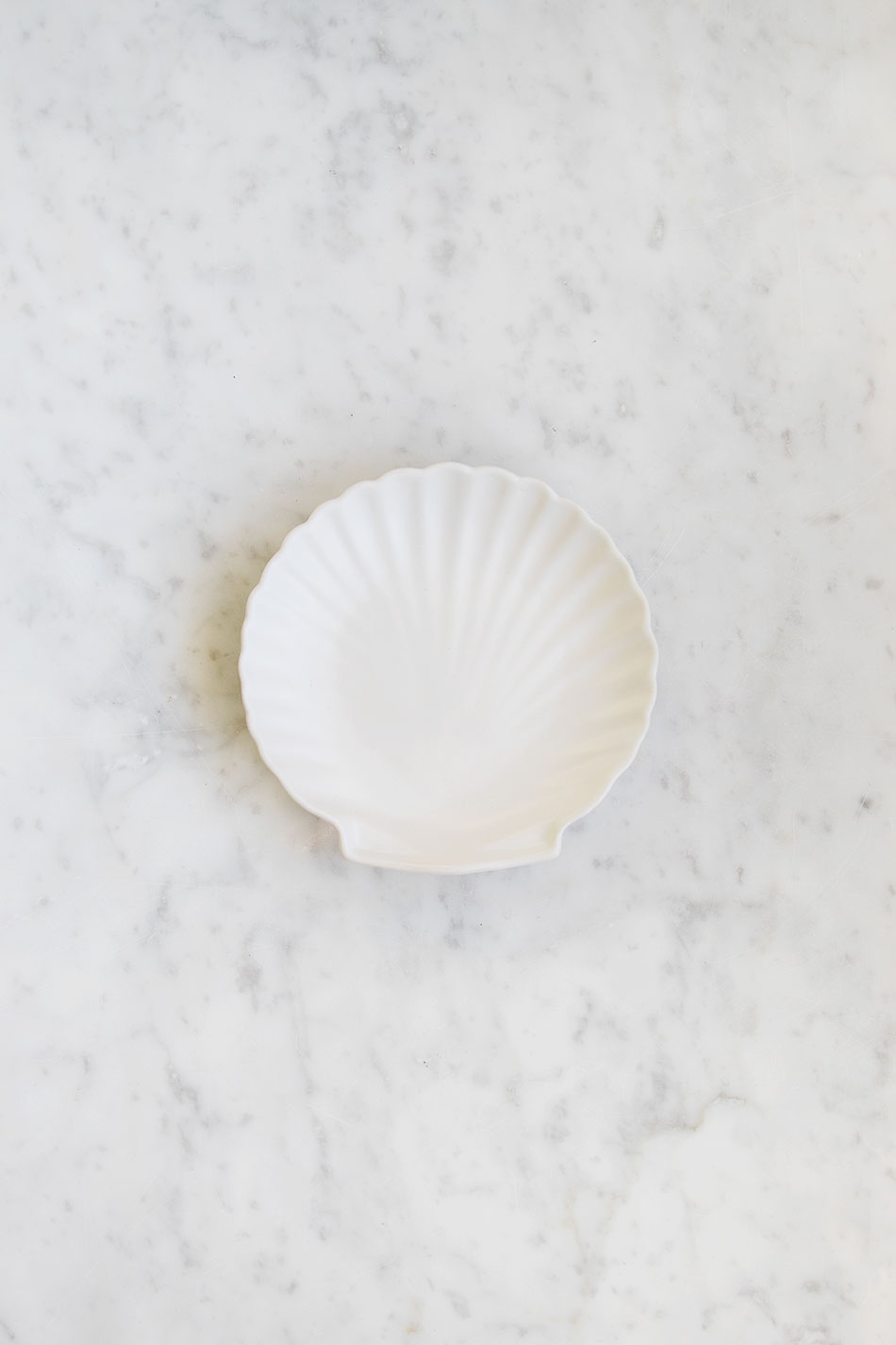 Shell Tray Small