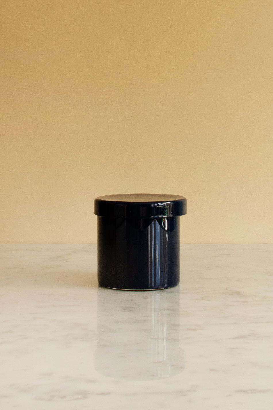Container Large Dark Blue