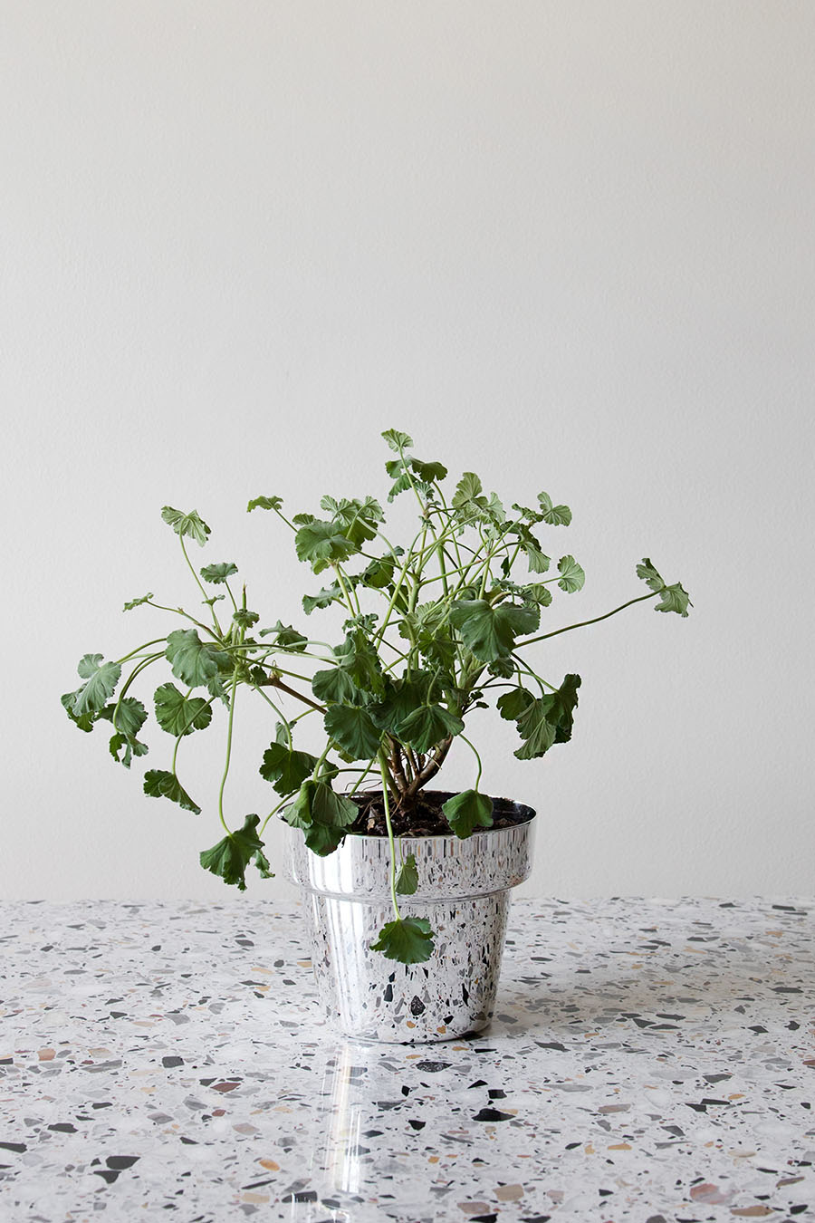 Skultuna kruka silver Skultuna kruka silver