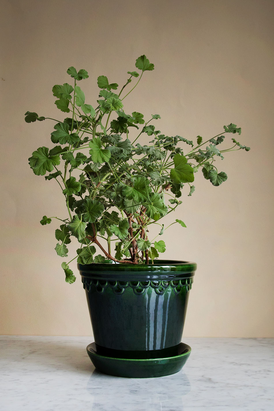 Kruka Köpenhamn Grön 18cm